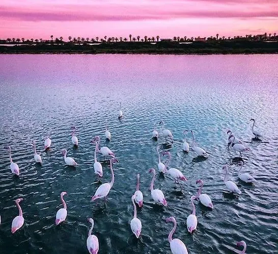 Casa Sul Mare A - Grazie Di Esistere *